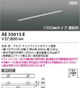 AE55013E