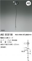 AE55318