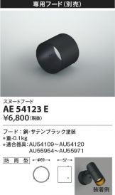 AE54123E
