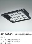 AE54163