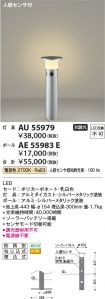 AE55983E