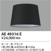 AE49316E