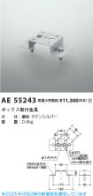 AE55243