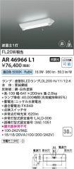 KAR46966L1