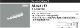 AE0231EY