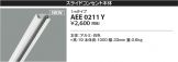 AEE0211Y