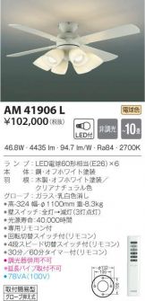 AM41906L