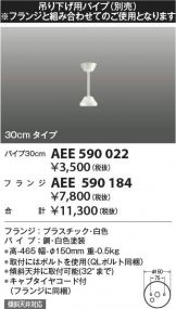 AEE590022