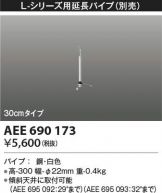 AEE690173