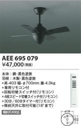 AEE695079