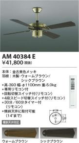 AM40384E