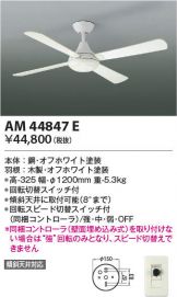 AM44847E