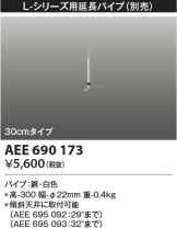 AEE690173