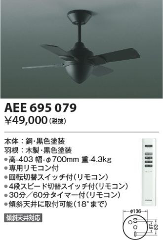AEE695079