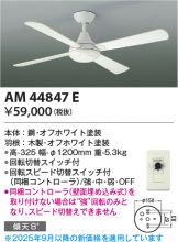 AM44847E