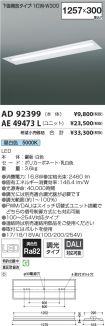 AE49473L