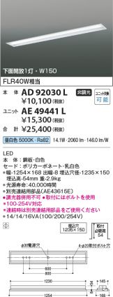 AE49441L