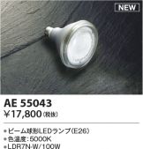 AE55043