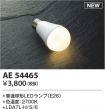 AE54465