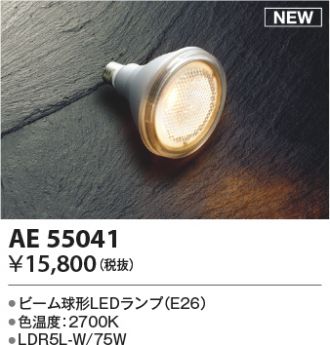 AE55041