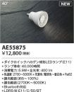 KAE55875