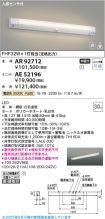 AE52196