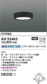 AH55463