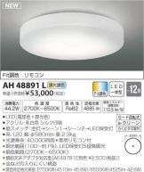 AH48891L