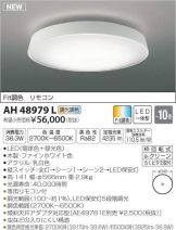 AH48979L