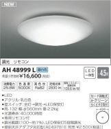 AH48999L