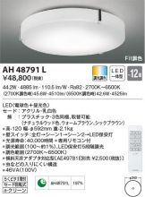 AH48791L