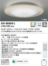 AH48869L