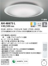AH48873L