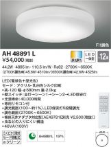 AH48891L