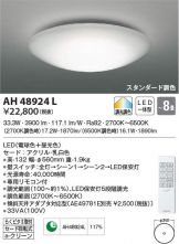 AH48924L