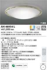 AH48954L