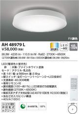 AH48979L