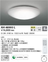 AH48993L