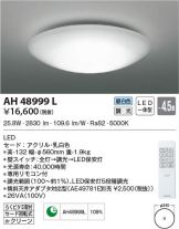 AH48999L