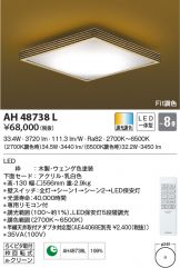 AH48738L