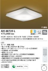 AH48725L