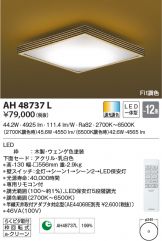 AH48737L