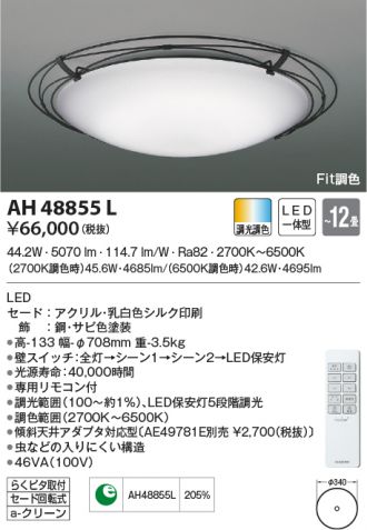 AH48855L