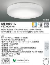 AH48891L