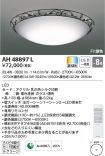 AH48897L