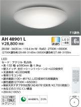AH48901L