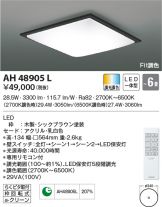 AH48905L