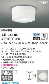 AU54108