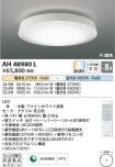 AH48980L
