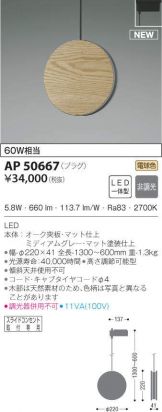 AP50667